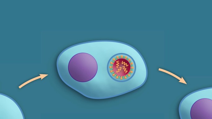 医学微观生物病毒复制医疗三维动画展示