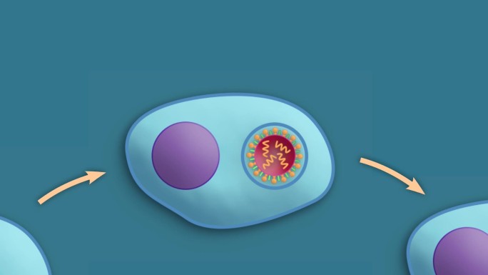 病毒细胞形态细胞重新编码医学三维动画