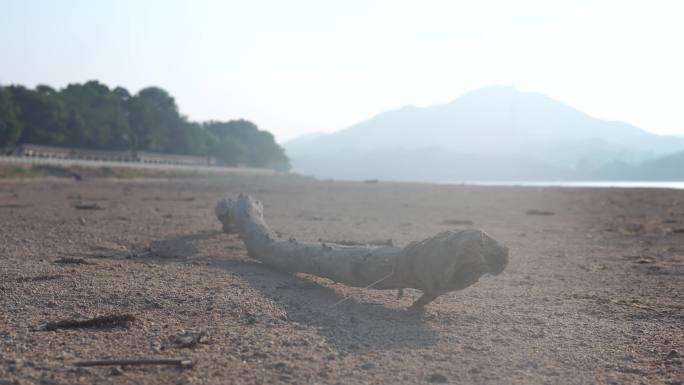 干涸的河面河床