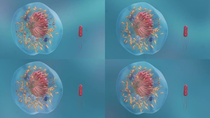 病毒细胞形态类型医学三维动画复杂病毒体形