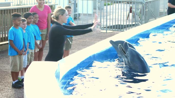 与海豚训练师一起进行海洋公园实地考察课程