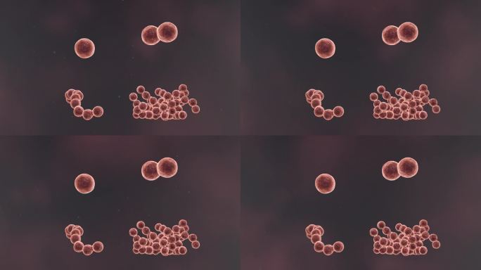 医学细菌流行传染病毒全息医学三维动画素材