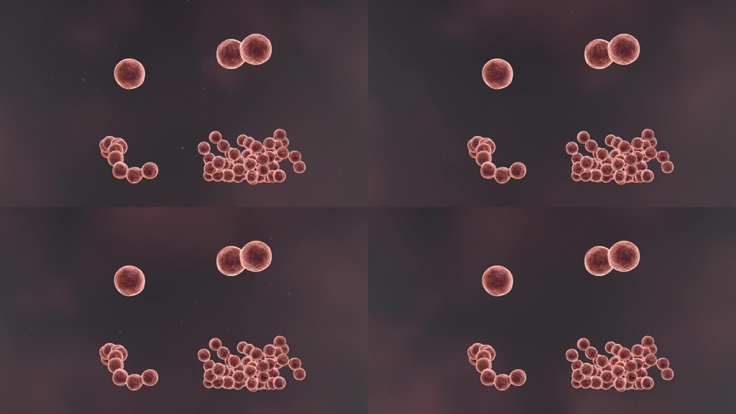 医学细菌流行传染病毒全息医学三维动画素材