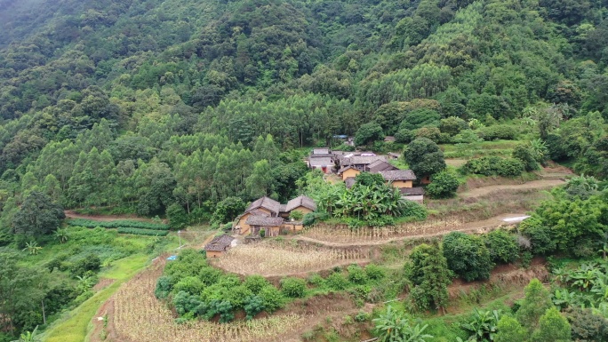 大山 大山深处 乡村 农村 桉树 航拍