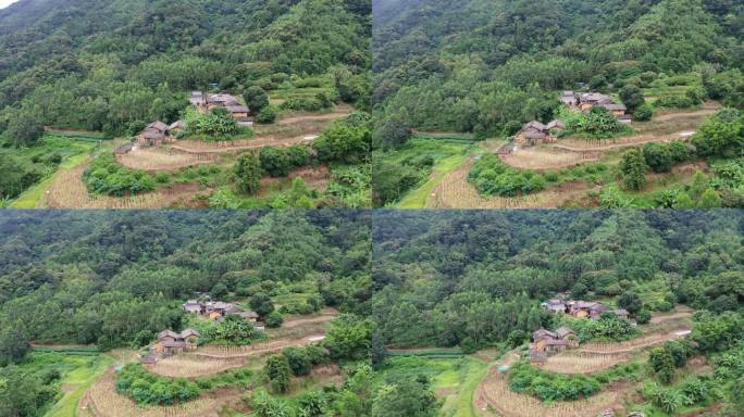 大山 大山深处 乡村 农村 桉树 航拍