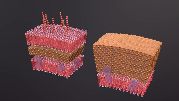 流感病毒病原体细菌微生物医学三维动画素材