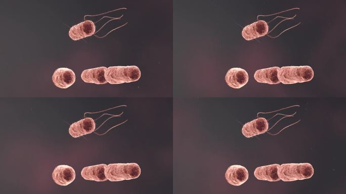 流感病毒病原体细菌微生物医学三维动画素材