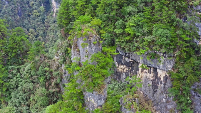 四川巴中光雾山云飞岭