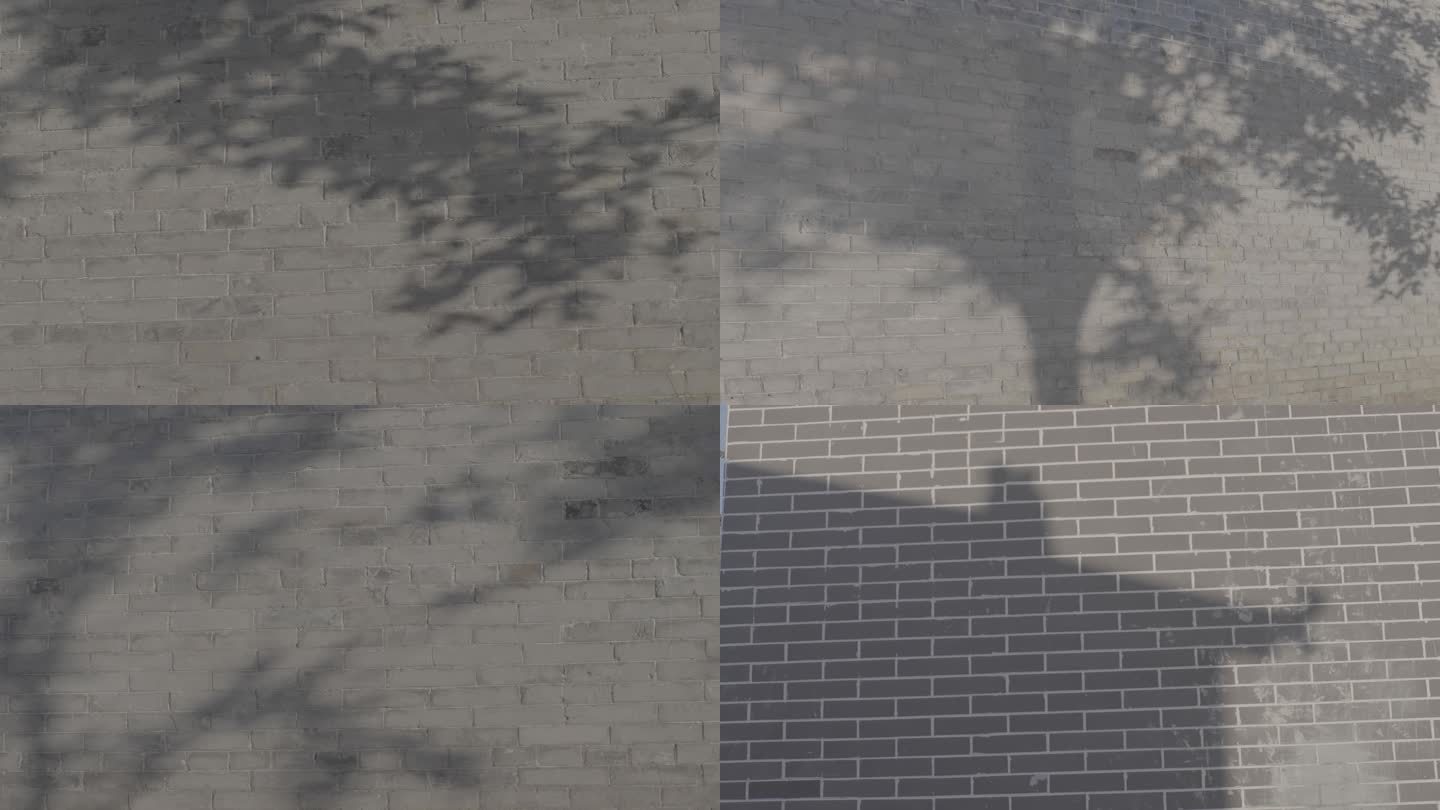 【4K】树影