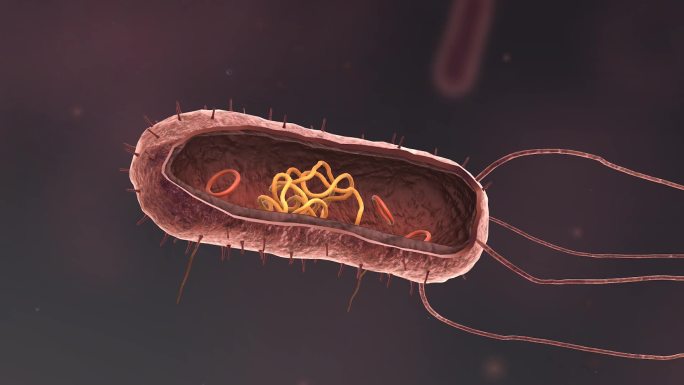 医学细菌流行传染病毒