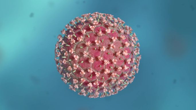 病毒细胞形态类型医学三维动画艾滋病