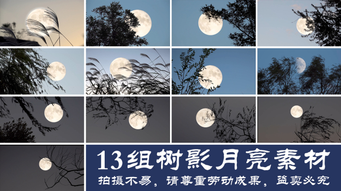 13组傍晚树影月亮素材