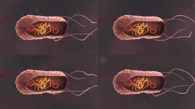 医疗病菌病毒细菌分子病原体