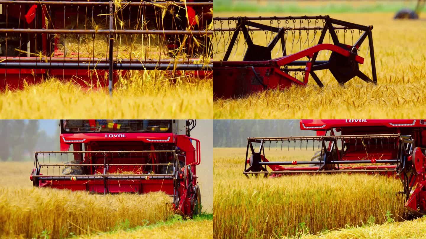 小麦收割收割机收获慢动作