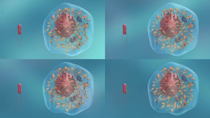 医学微观生物病毒细胞形态医疗三维动画展示