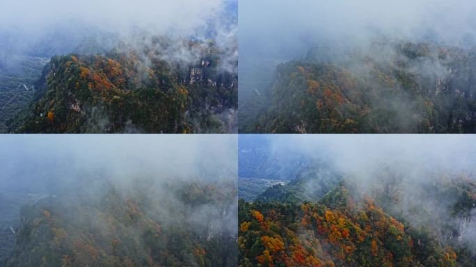 四川巴中光雾山云飞岭