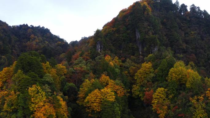 四川巴中光雾山云飞岭