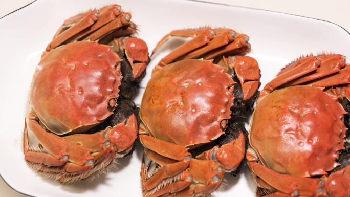 煮熟的的螃蟹大闸蟹