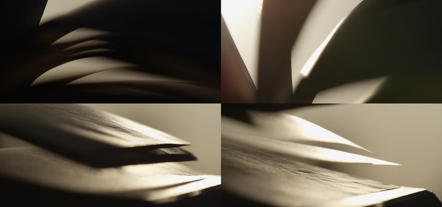 翻书意境 抽象写意阳光意境，风吹书页翻动