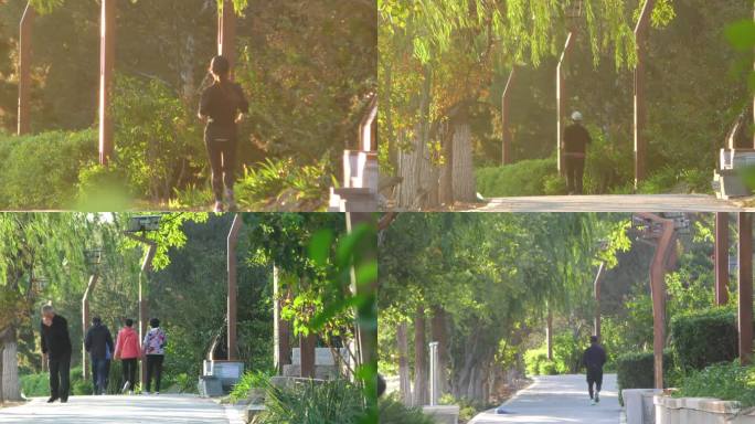 公园早晨骑行锻炼跑步健身散步晨练生态城市