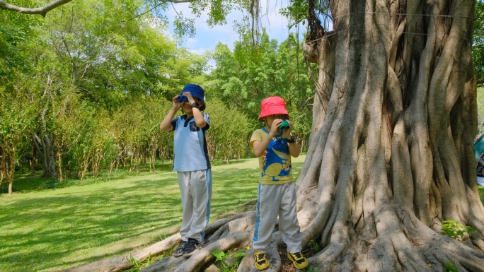 小朋友 小学生 亲近大自然 望远镜 观鸟
