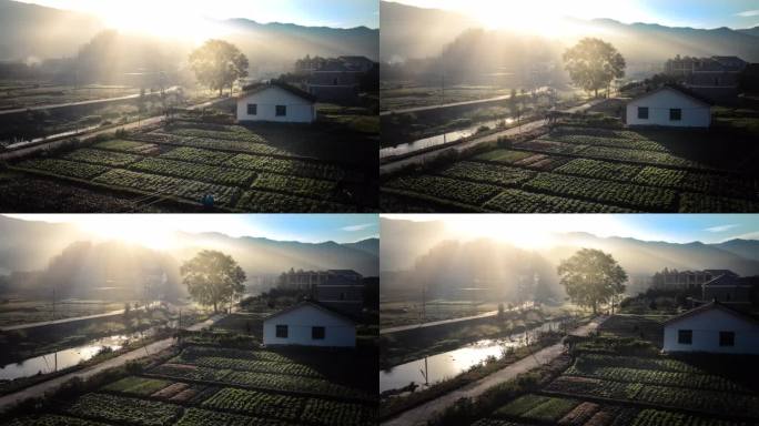 4K航拍深秋农村清晨的阳光