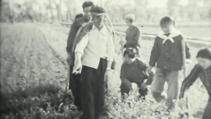 70年代 农业大学生 下乡 劳动实践学习