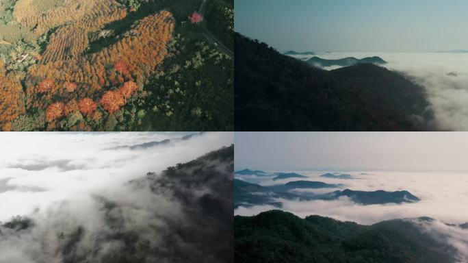 山脉青山穿云 青山绿水 群山 山脉山峦