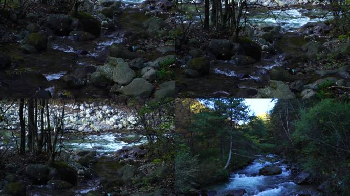 实拍秦岭山中流水自然景观