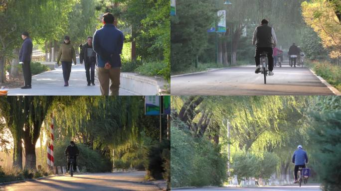 公园早晨骑 锻炼跑步健身散步晨练绿色树林