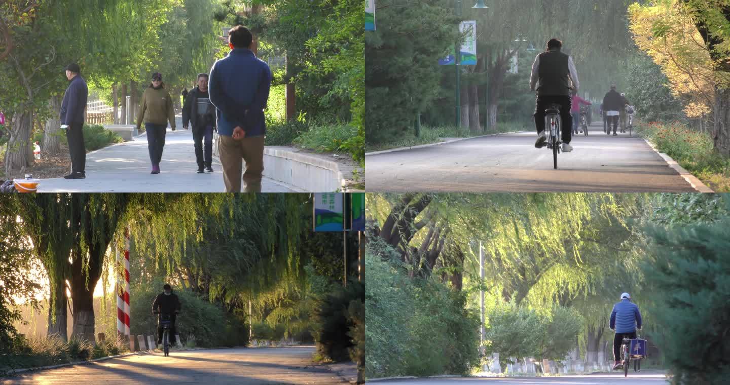 公园早晨骑 锻炼跑步健身散步晨练绿色树林