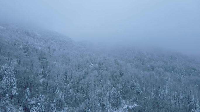 航拍原始森林雪景视频大景