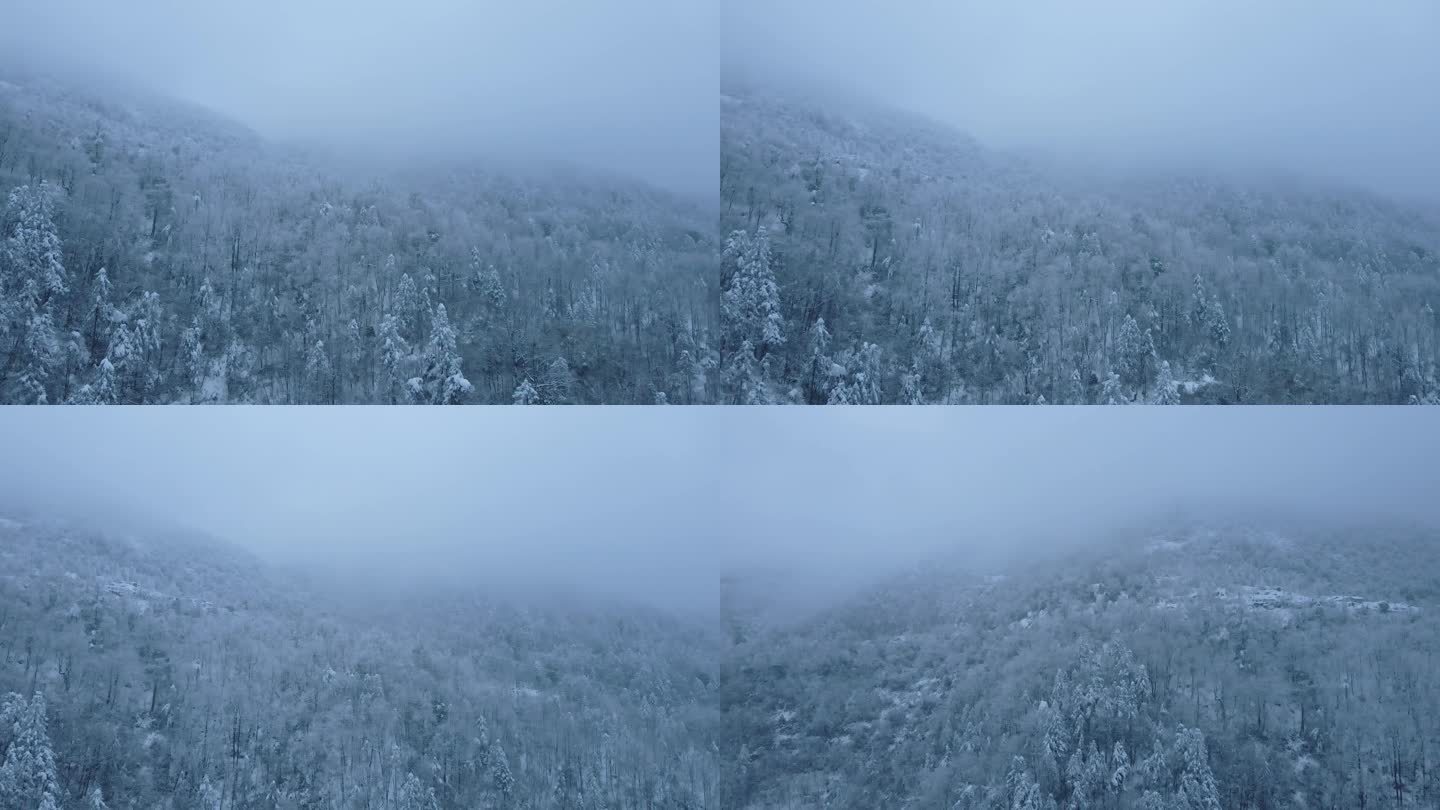 航拍原始森林雪景视频大景