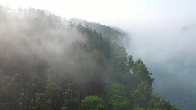 清晨森林湖泊烟雾缭绕航拍
