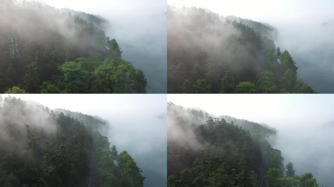 清晨森林湖泊烟雾缭绕航拍