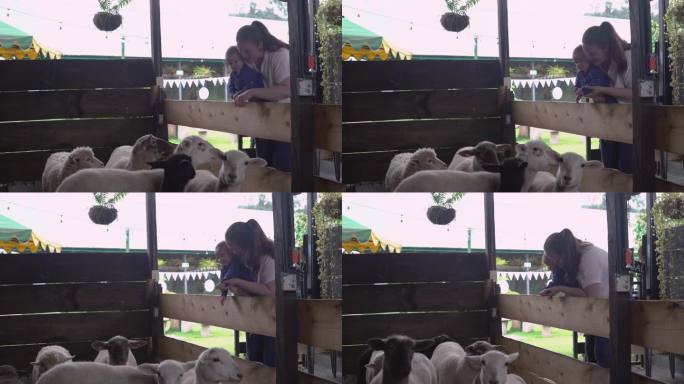 一位拉丁妈妈带着一岁大的婴儿在一家漂亮的农场式餐厅里，她带着孩子去看动物