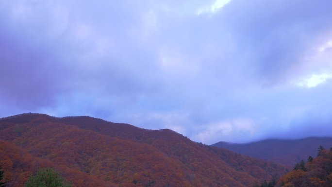 韩国五台山秋景 山峰红叶 流云 延时