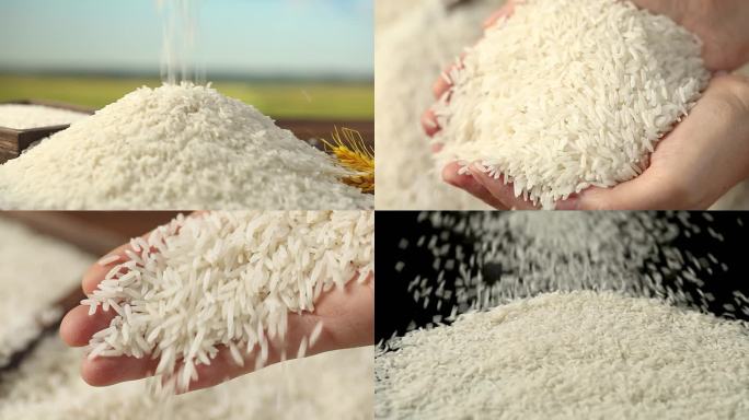 大米 米 米粒 农业水稻稻田米饭粮食