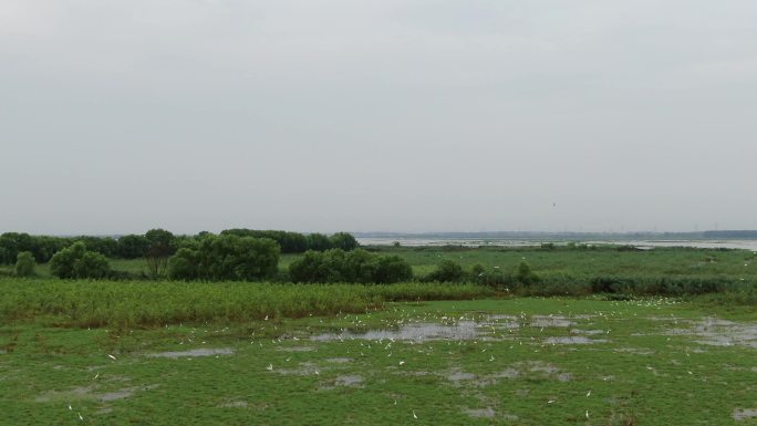 洪泽湖湿地