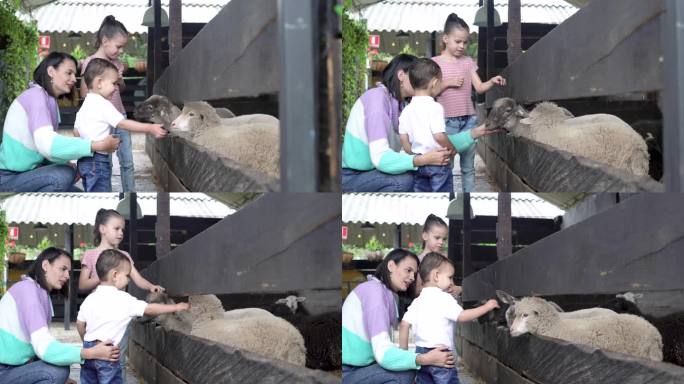 一位拉丁妈妈和她的孩子们在一家漂亮的农场式餐厅里看动物