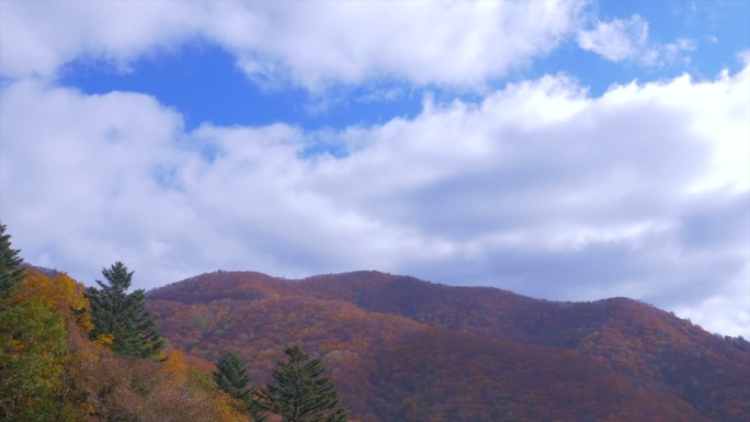 韩国五台山秋景 满山红叶 蓝天白云 延时