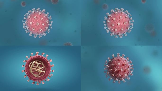 新冠肺炎 病毒病原体细菌 流感病毒艾滋病
