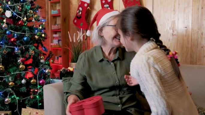 祖母和孙女圣诞节奶奶孙女拥抱圣诞树