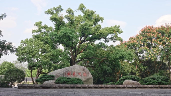 杭州花圃