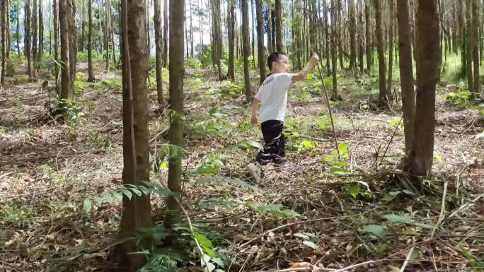 男孩子走过林中漫步林间享受自然穿越探险