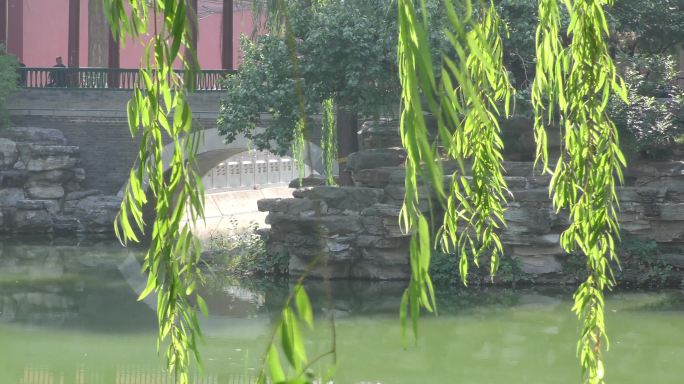 北京中山公园皇家园林风光园林艺术古柏古树