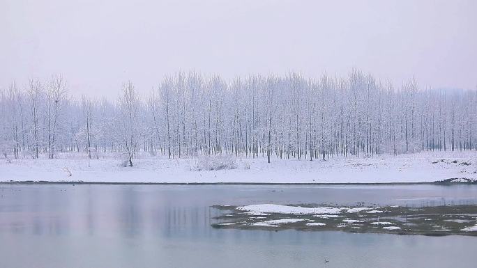 冬日江边雪景实景航拍唯美素材