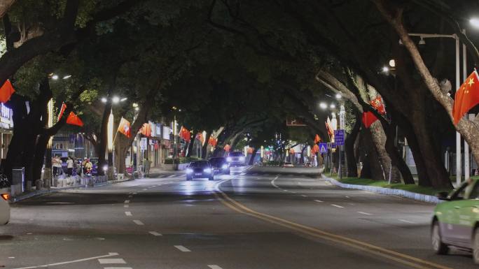 惠州深夜城市街道车流