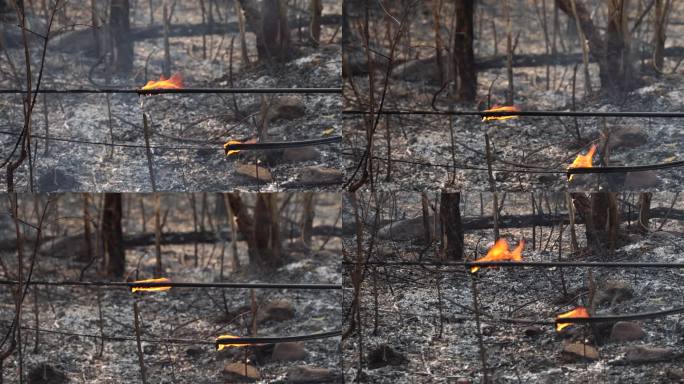 高速公路附近的森林火灾（野火）仍在燃烧，烟雾弥漫，空气污染，通信电缆受损