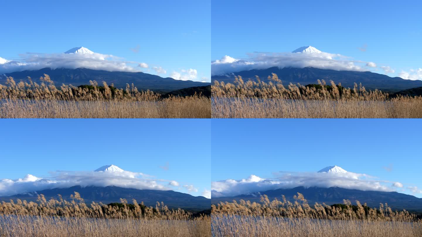 秋季川口湖富士山高山大山